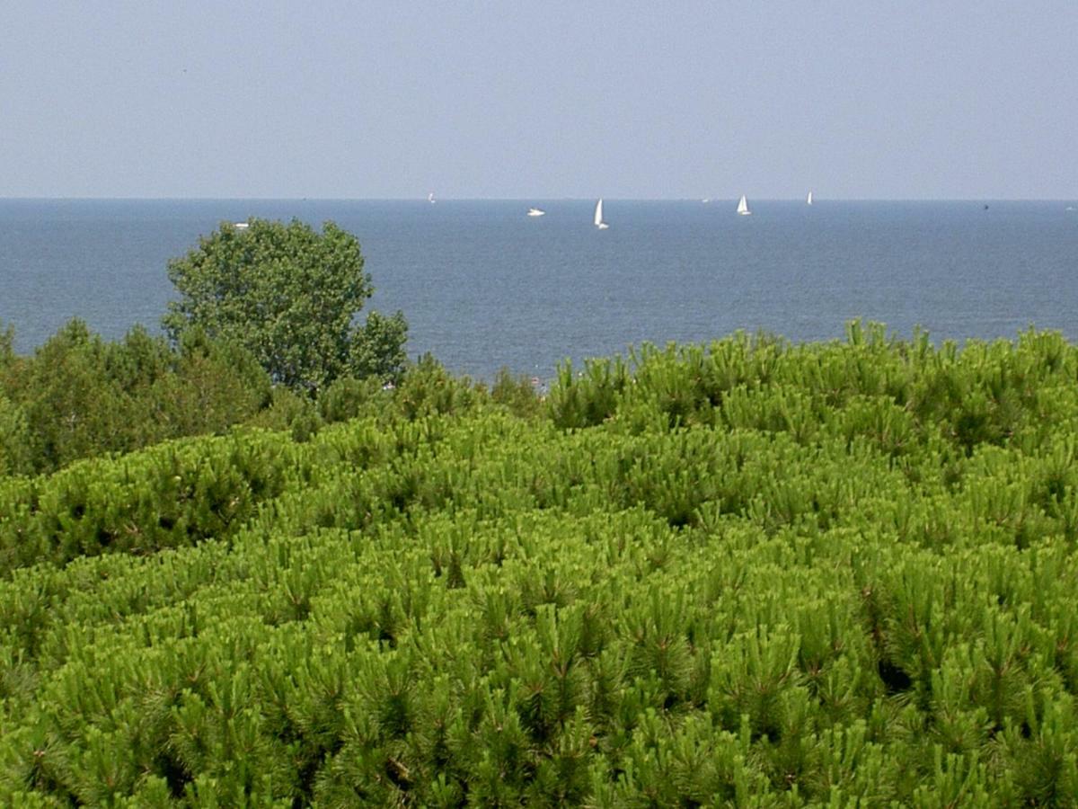 Le Terrazze Apartments Lido di Spina Bagian luar foto